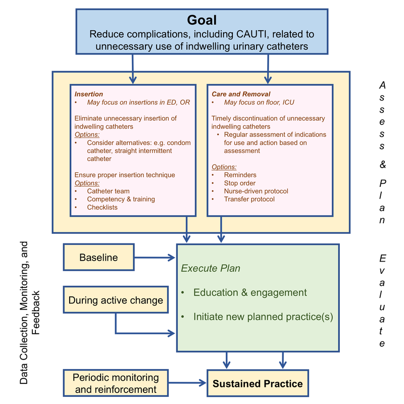 Figure: Developing a Comprehensive CAUTI Reduction Program